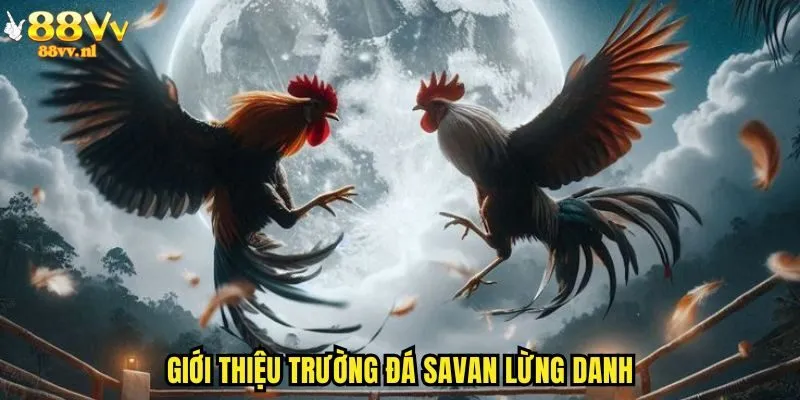 Giới thiệu trường đá savan lừng danh